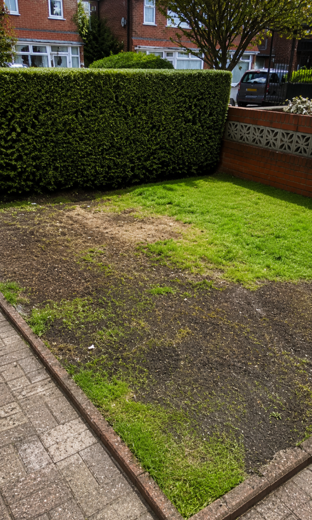 After rubbish clearance collected from Crouch End (N8)