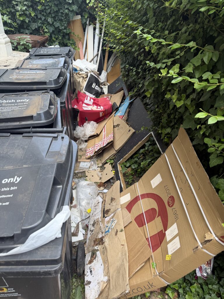 Before rubbish clearance in Stoke Newington (N16) by Mullarkey's Clearances