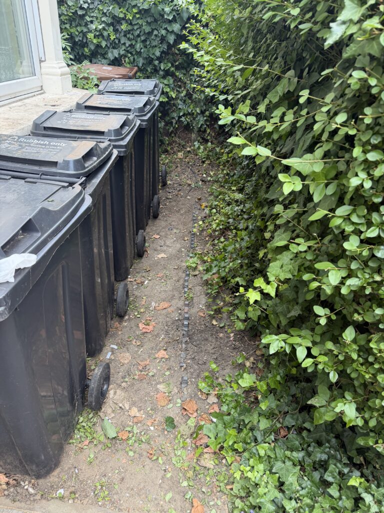 After - Rubbish clearance in Stoke Newington N16 by Mullarkeys Clearances